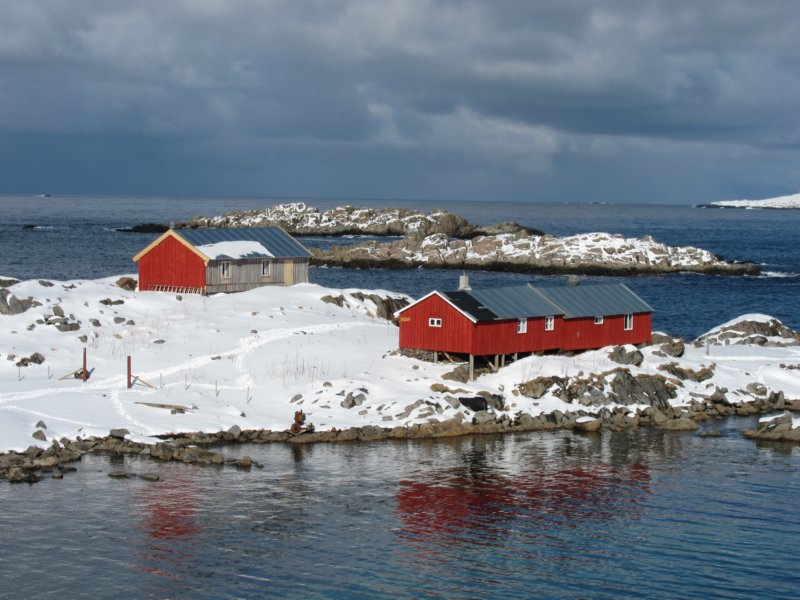 img_1236.jpg